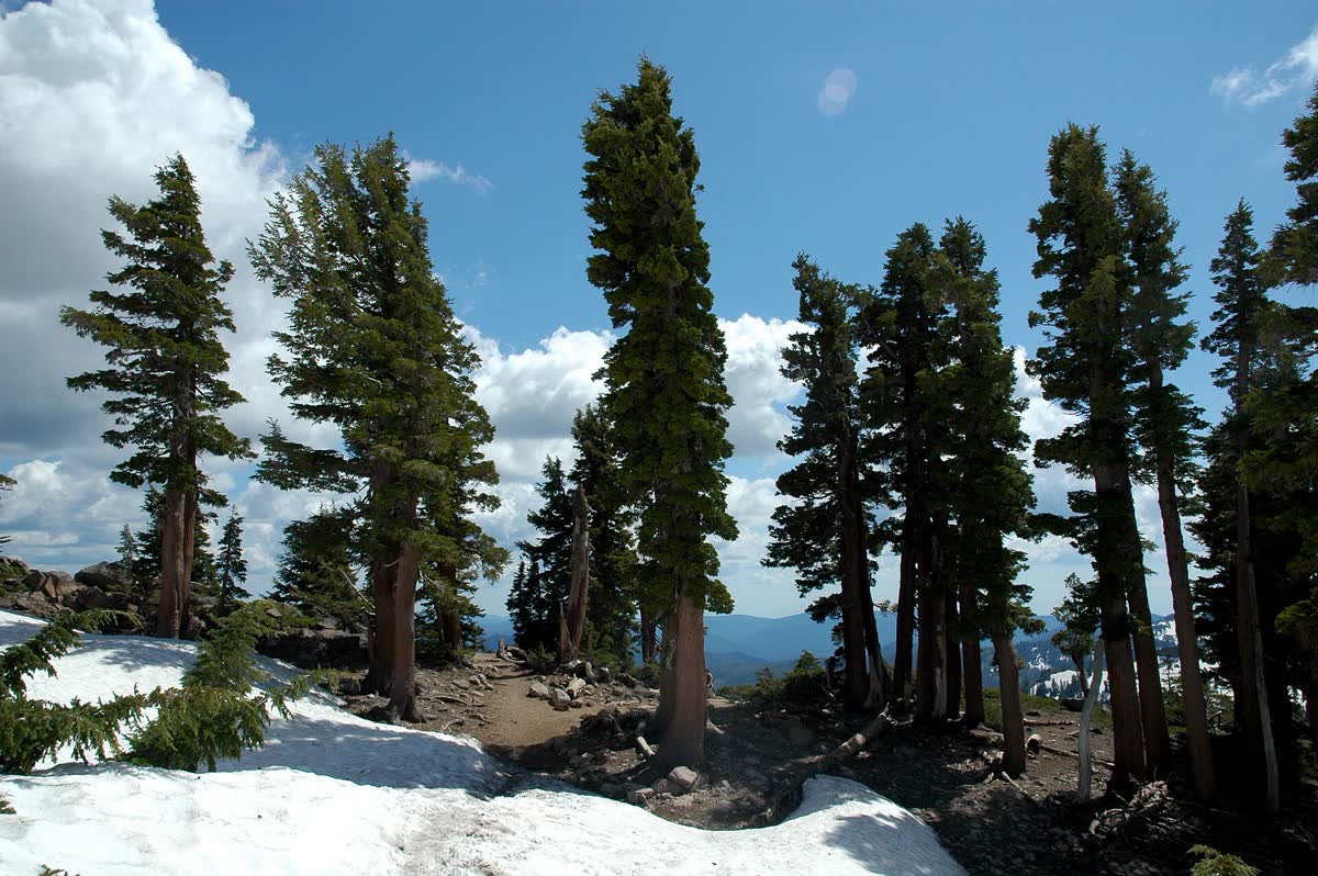 Bumpass Hell Trail, California