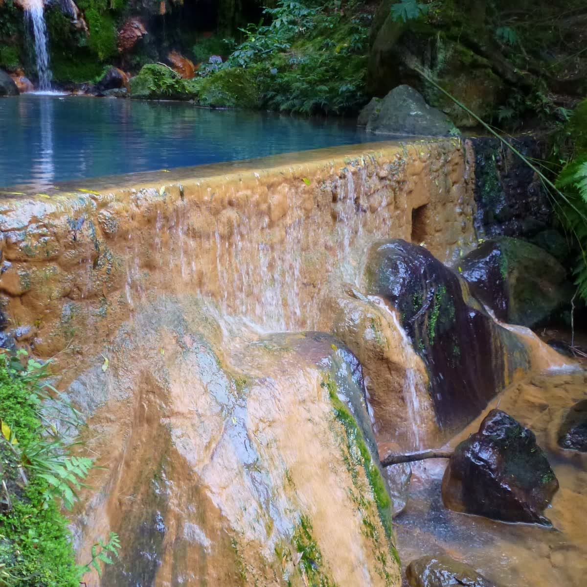 Caldeira Velha, Portugal hot spring in Portugal