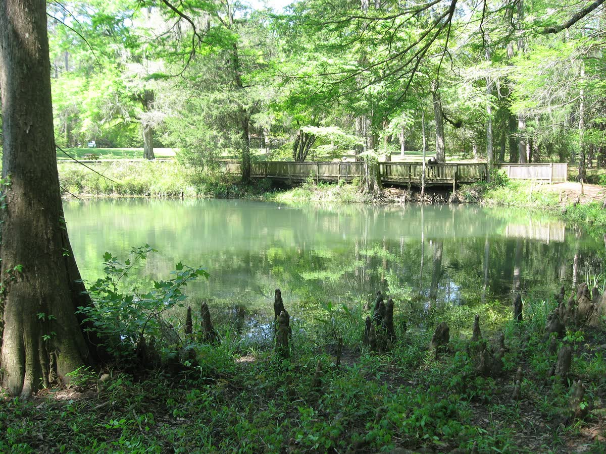 Cypress Springs, Florida