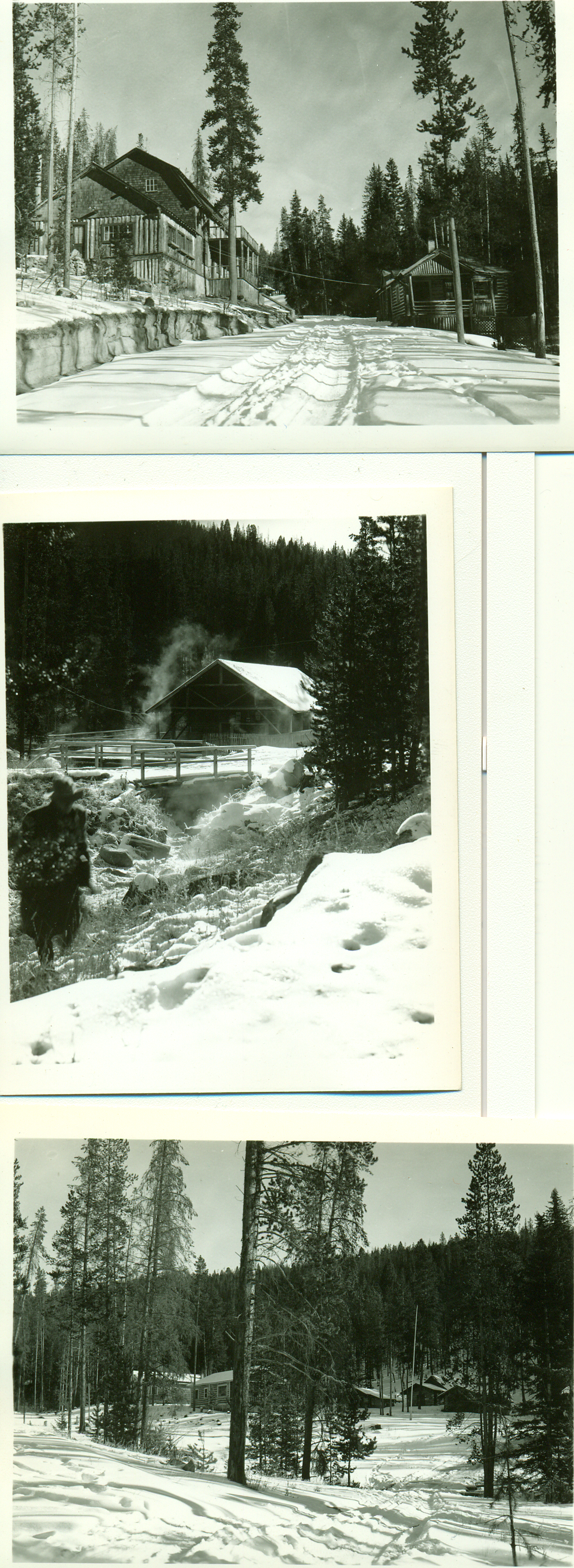 Elkhorn Hot Springs, Montana