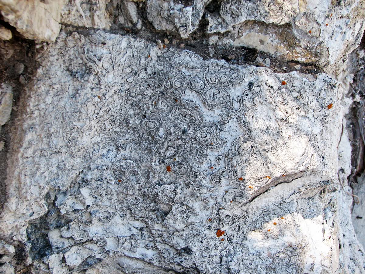 Hot Creek Geologic Site, California