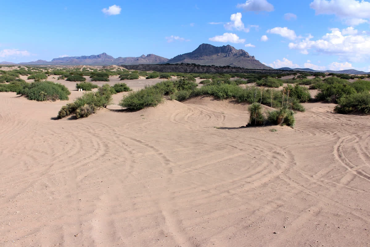 Hot Well Dunes Recreation Area, Arizona