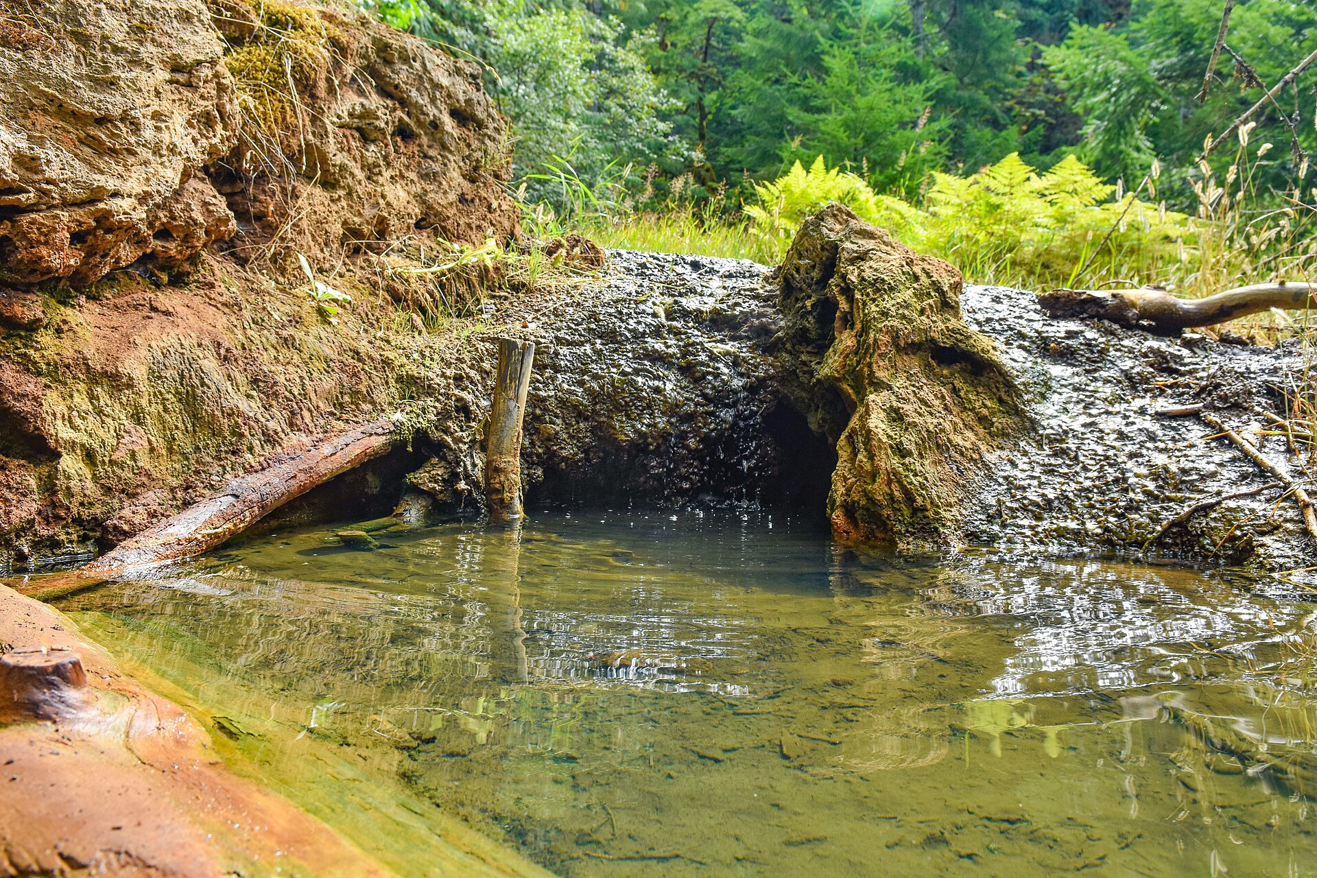 Ohanapecosh Hot Springs, Washington