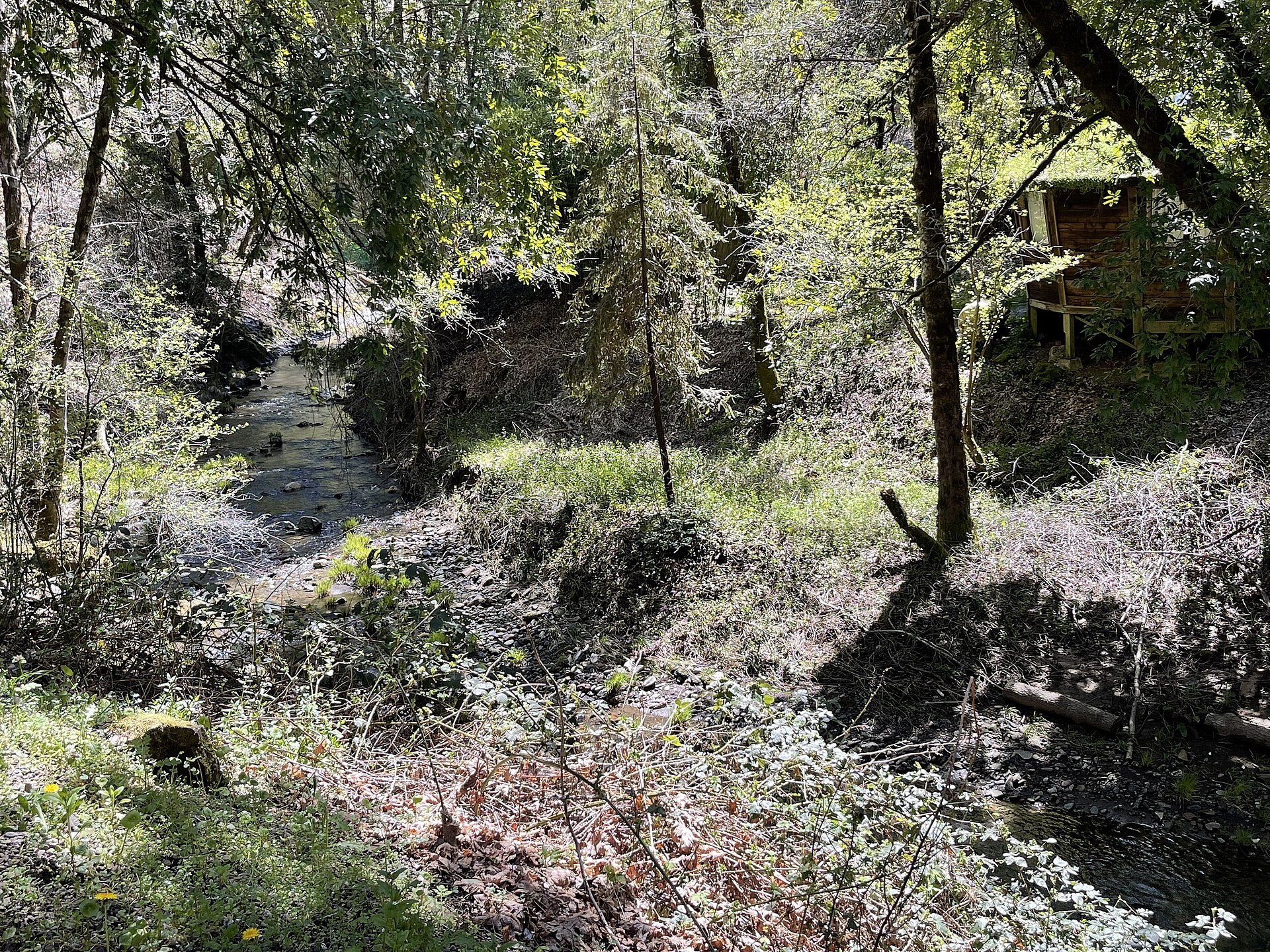 Orr Hot Springs, California