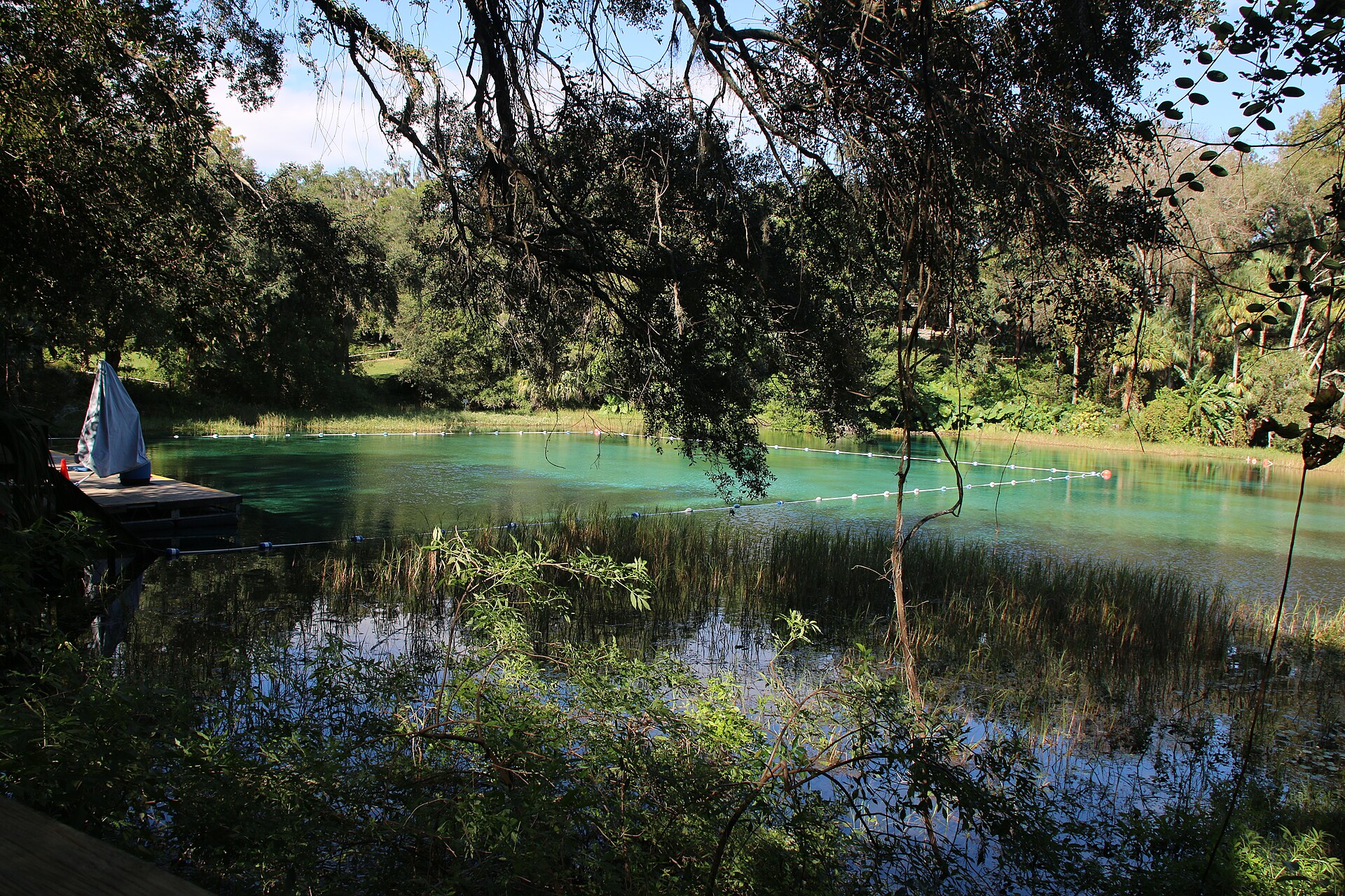 Rainbow Springs, Florida