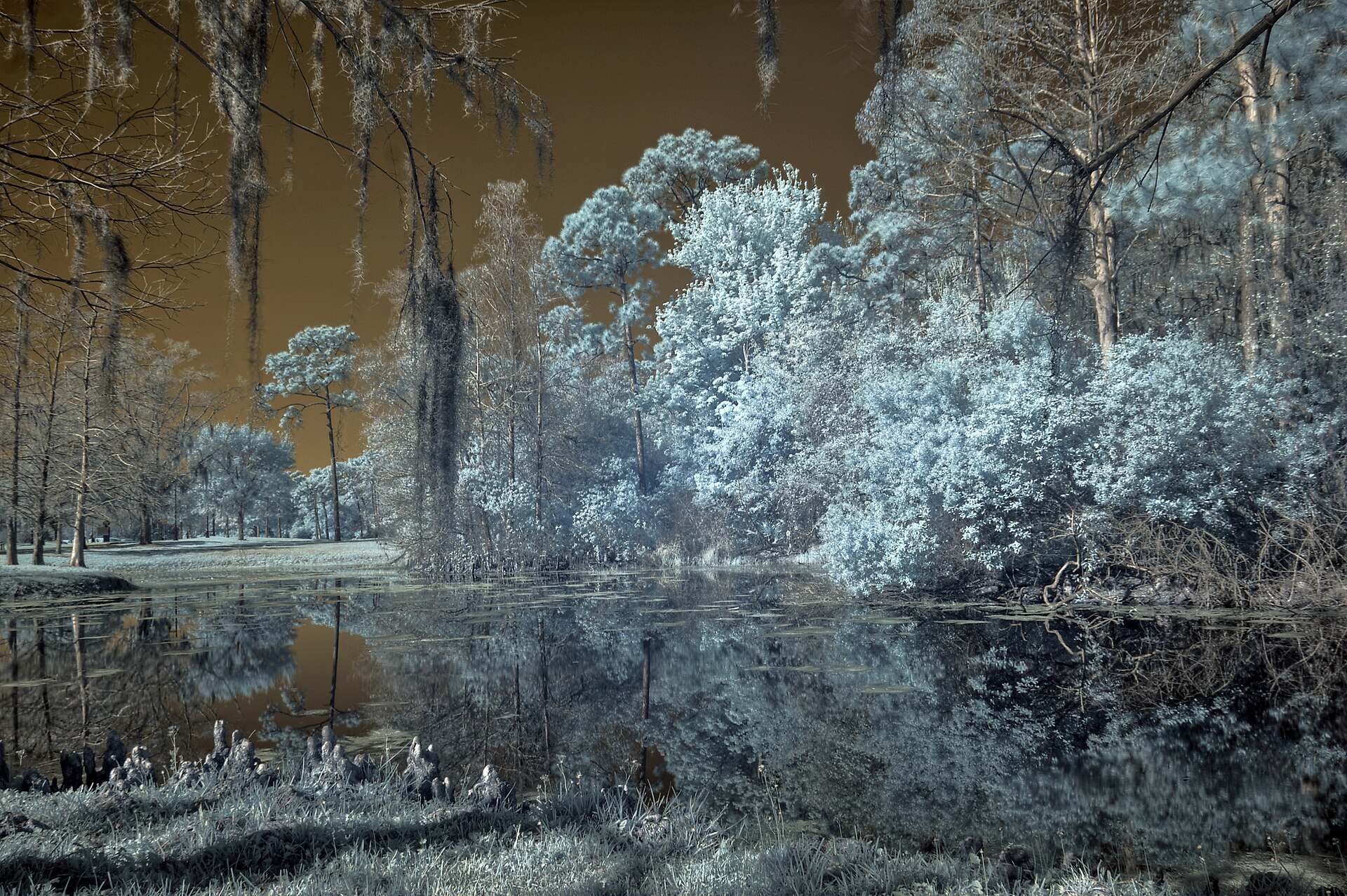 Royal Springs, Florida