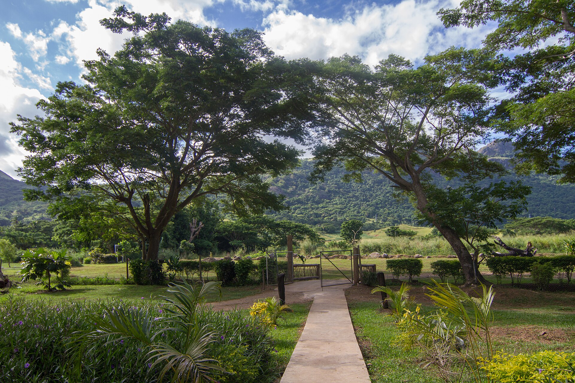 Sabeto Hot Springs and Mud Pool, Fiji