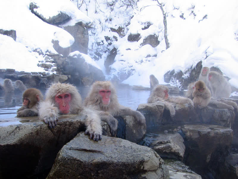 Sunamushi Kaikan Saraku Japan hot spring in Japan