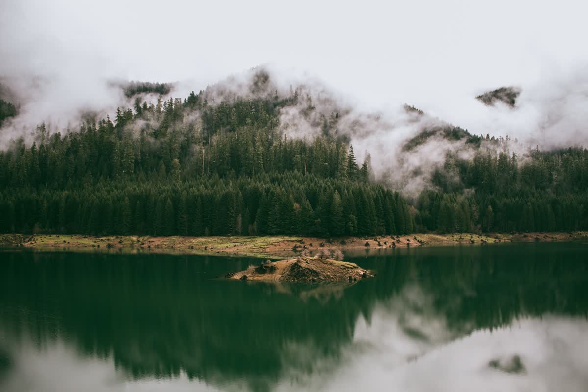 Terwilliger Cougar Hot Springs, Oregon