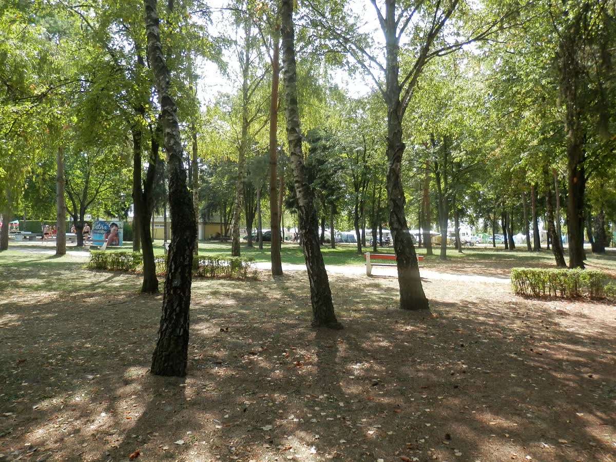 Thermalpark Dunajska Streda, Slovakia