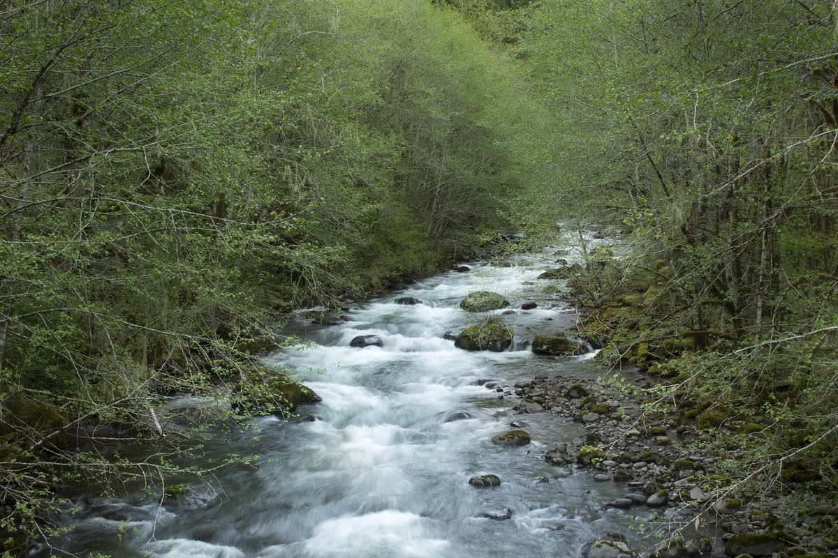 Three Forks Warm Springs, Oregon