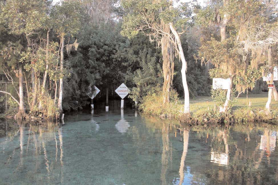 Three Sisters Springs, Florida