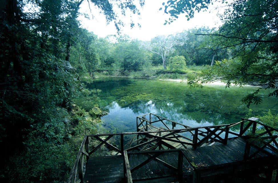 Troy Spring, Florida hot spring in United States